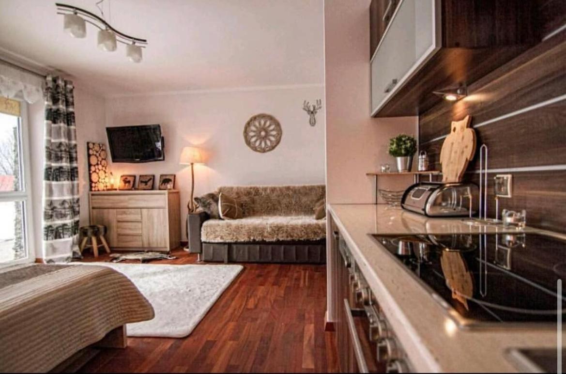 Na Koscieliskim Wierchu Apartment Koscielisko