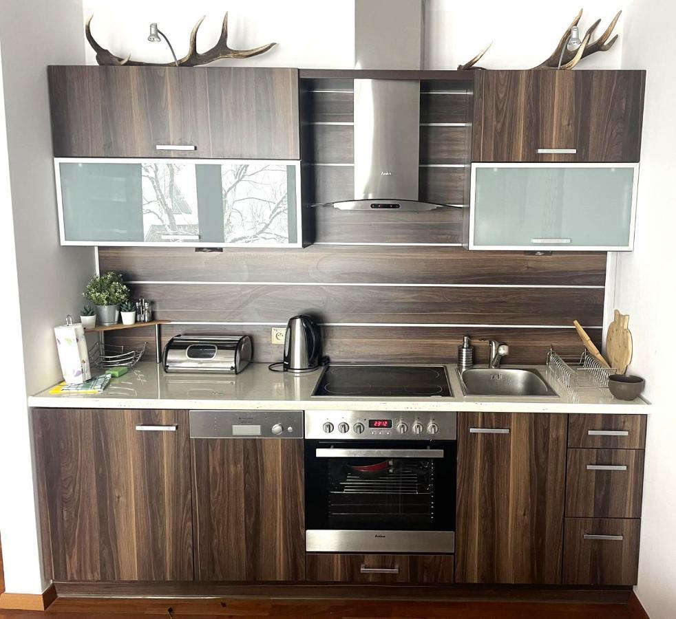 Na Koscieliskim Wierchu Apartment Koscielisko